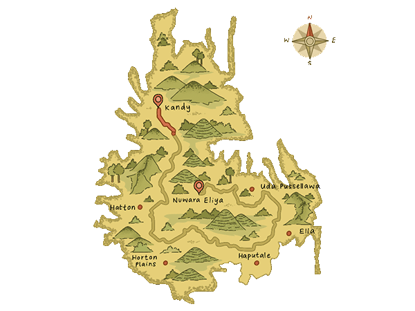 Pekoe Map